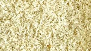 Grains of rice.jpg